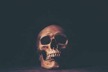 Creative picture art in Halloween concept