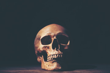 Halloween Human Skull
