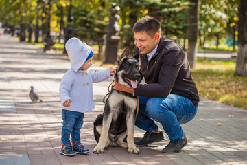 Naklejka na ściany i meble dad and son for a walk in the park with his pet shepherd. The dog loves the child