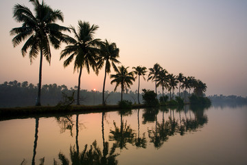 Paddling through Kerala, Kuzhupilly, backwaters at sunset, small tropical islands palmtrees...