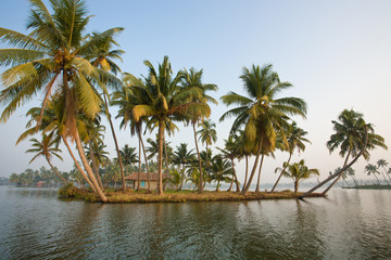 Fototapeta na wymiar Paddling through Kerala, Kuzhupilly, backwaters at sunset, small tropical islands, huts, palmtrees reflected in water