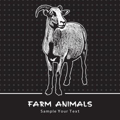 Goat standing isolated on a black - vector graphic illustration. Beautiful drawing portrait of a farm animal. Black and white picture is a design element and clip art. 