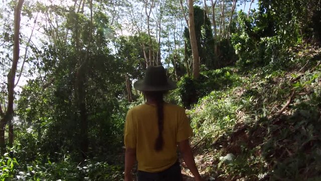 POV, people hike through Tahiti landscape