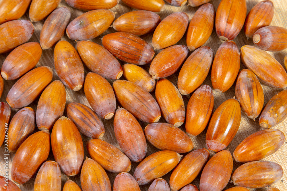 Canvas Prints Close up of brown ripe acorns