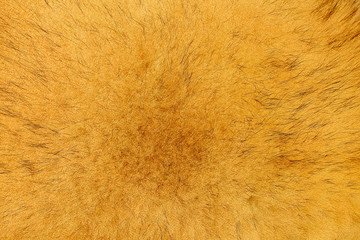 colorful bright abstract design paper textured background