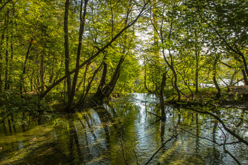 Plitvice lakes and Waterfalls