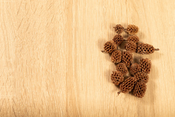 Small cones on wooden backgroung with copyspace