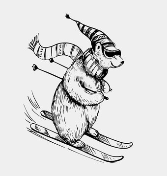Polar bear skiing. Hand drawn illustration converted tovector
