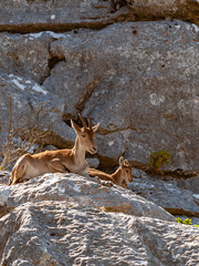 Landscape of the Torcal de Antequera.