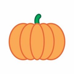 Pumpkin colorful illustration
