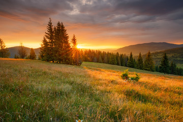 Autumn landscape. Autumn mountains.