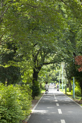 多摩湖自転車道（東京都小平市・花小金井付近）