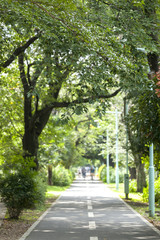 多摩湖自転車道（東京都小平市・花小金井付近）