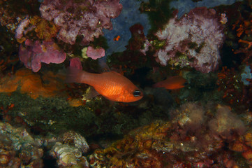 Entrando en la cueva
