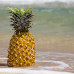  Close up whole pineapple, ananas, on beach, with tropical sea backdrop, and blue sky