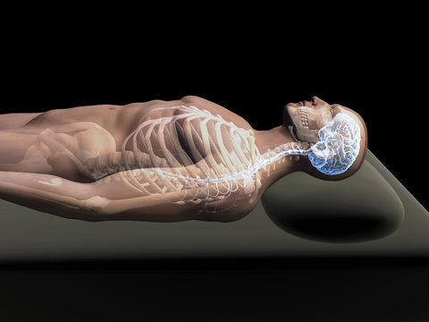 Reclining Man with Transparent Skin in Profile