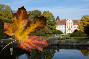 Polska, Gdańsk - jesienne liście w Parku Oliwskim © Iwona