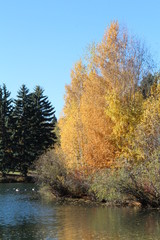 Autumn Colours On The Lake, William Hawrelak Park, Edmonton, Alberta