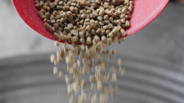 Poultry food at scoop falling