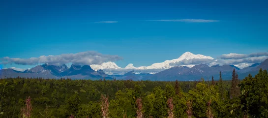 Photo sur Plexiglas Denali Panoramic View of Denali Mountain Range in Alaska