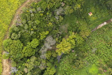 Naklejka premium aérien