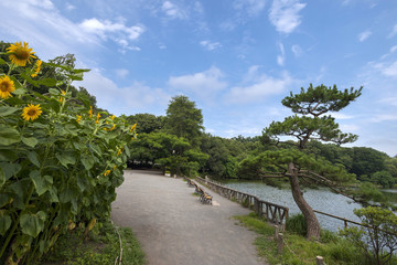 善福寺公園（東京都杉並区）