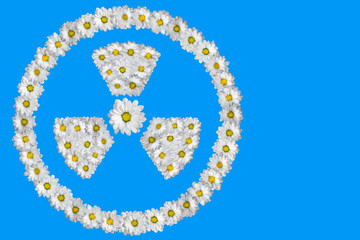 Radiation sign  made of white daisies on blue background.
