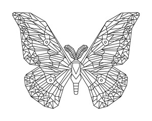 Japanese silk moth stylized vector illustration on white