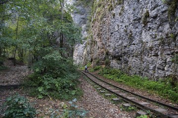 Obraz premium railway in the mountains