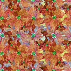 Seamless pattern. Christmas star, Christmas flower. Poinsettia is a New Year's flower, a symbol of New Year's and Christmas holidays. Decorative composition on a watercolor background. 