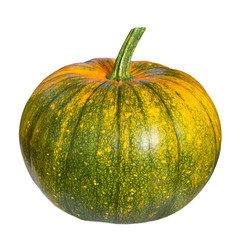 Pumpkin isolated on white with clipping path. Autumn halloween