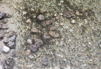 top view on lake bohinj, view on lots of squalius fish