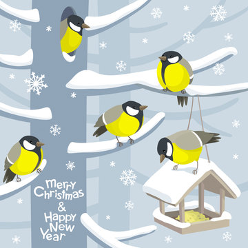 Vector Christmas birds and bird feeder Christmas image