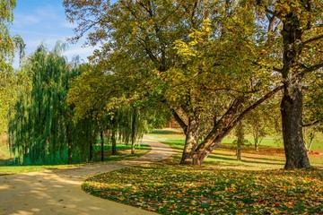 Herbst im Park