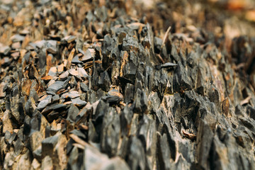 Sharp mountain rocks by the river. Many layers of stone