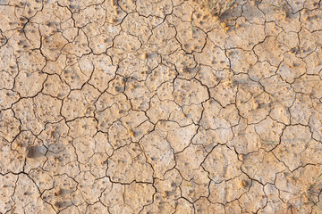 Brown dry soil or cracked ground texture background.
