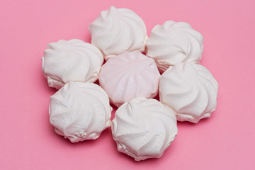 zephyr on a pink background