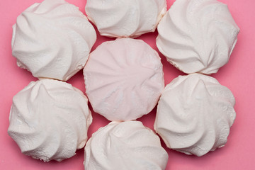 Obraz premium zephyr on a pink background