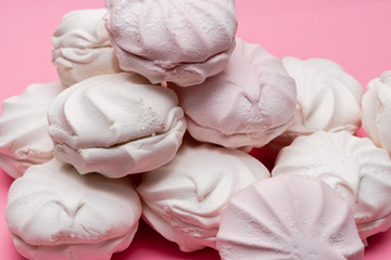 zephyr on a pink background