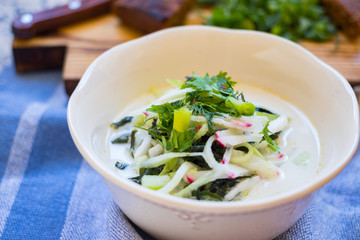 Russian traditional okroshka - a cold soup made from cucumber, kvass, radish, dill, parsley. Vegan raw okroshka with coconut milk yoghurt, lemon, garlic. Vegetarian lunch or dinner. Healthy food.