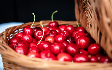 Geerntete Süßkirschen im Weidenkorb