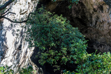 Obraz premium Panoramic view of the Tyrrhenian coast of Basilicata near Maratea