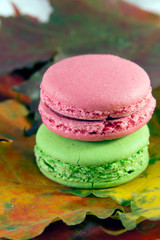 Macaroons on the colorful maple leaves at autumn time