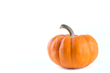Pumpkin on white background