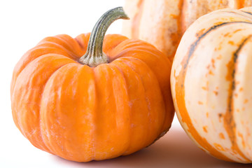 Pumpkins on white background