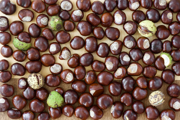 A lot of freshly harvested chestnuts scattered on wooden table. Autumn arrangement in brown color.