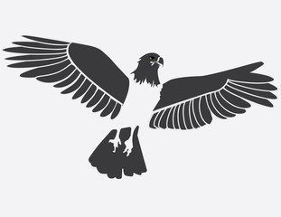 vector illustration of an eagle