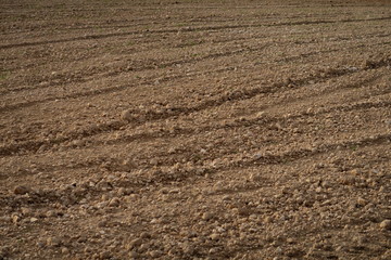 champ de terre labourée