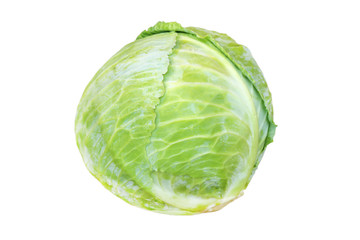 Head of cabbage