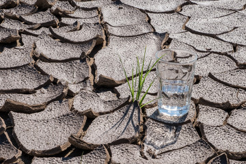 Cracked Earth with glass of water and grass